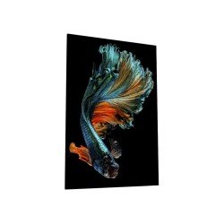 Картина на стекле 40х60 "Бойцовая рыбка 1", арт. WB-02-63-04