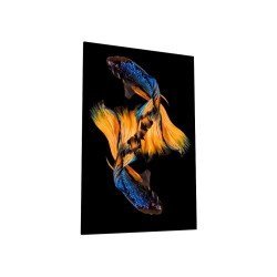 Картина на стекле 40х60 "Бойцовая рыбка 2", арт. WB-02-64-04