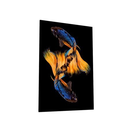 Картина на стекле 40х60 "Бойцовая рыбка 2", арт. WB-02-64-04