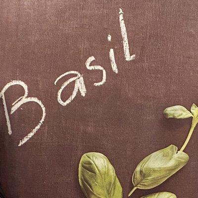 Basil, пластик / Черный, нержавеющая сталь